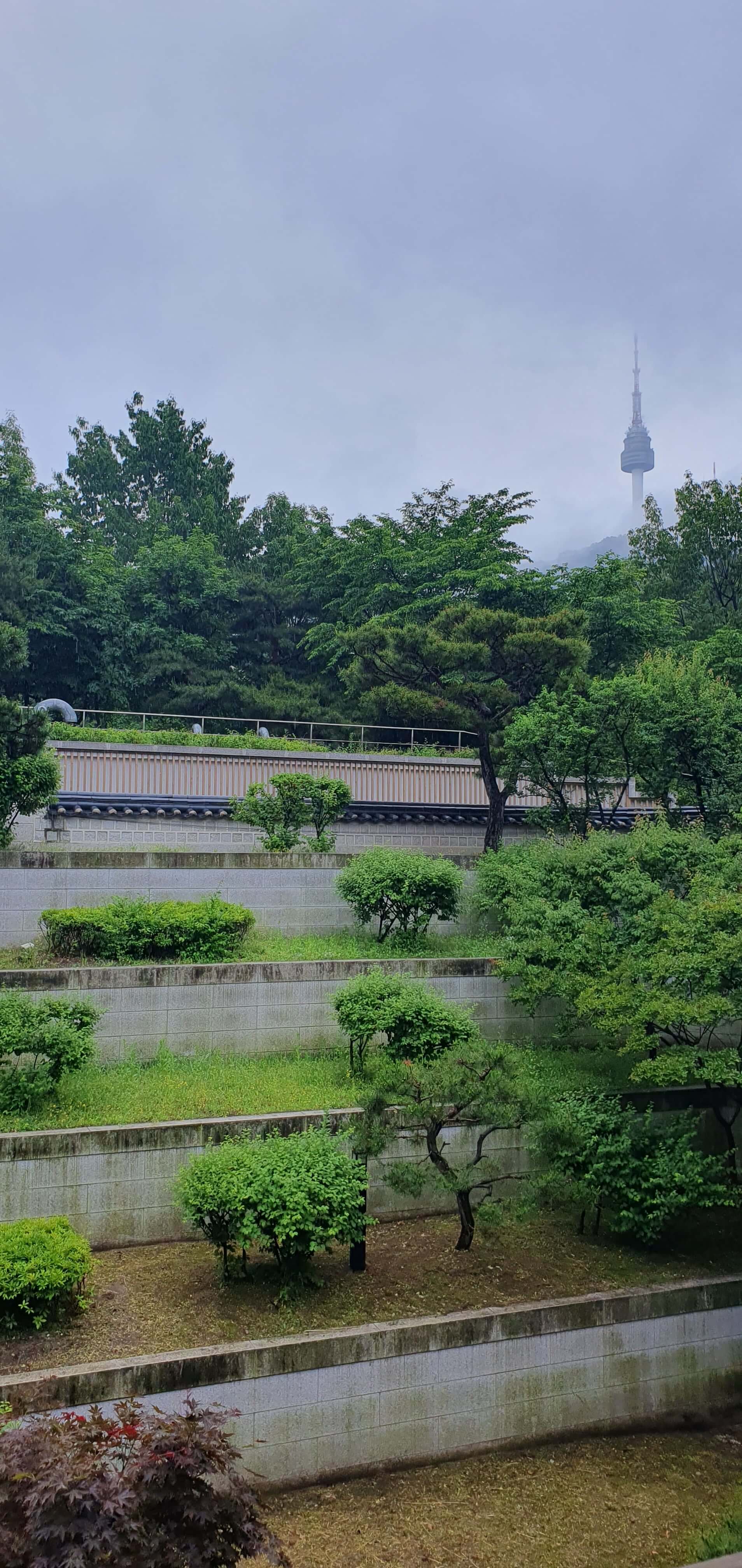 남산 단풍구경
