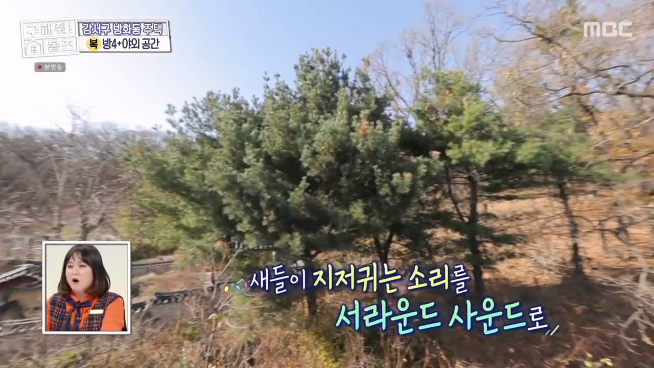구해줘홈즈 강서구 방화동 다둥이 드루와 벽돌집 단독주택 매물 가격 및 구조 인테리어 리모델링 최종선택 소개 다시보기