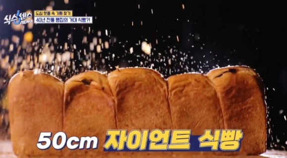 식스센스 시티투어 레전드 오브 빵 &ndash; 50cm 자이언트 식빵, 부산 빵지순례 옵스