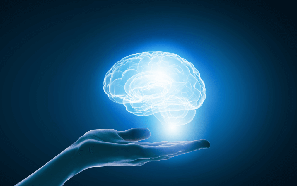 기억력 좋아지는 약