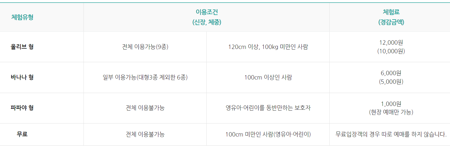 거제 정글타워 체험료