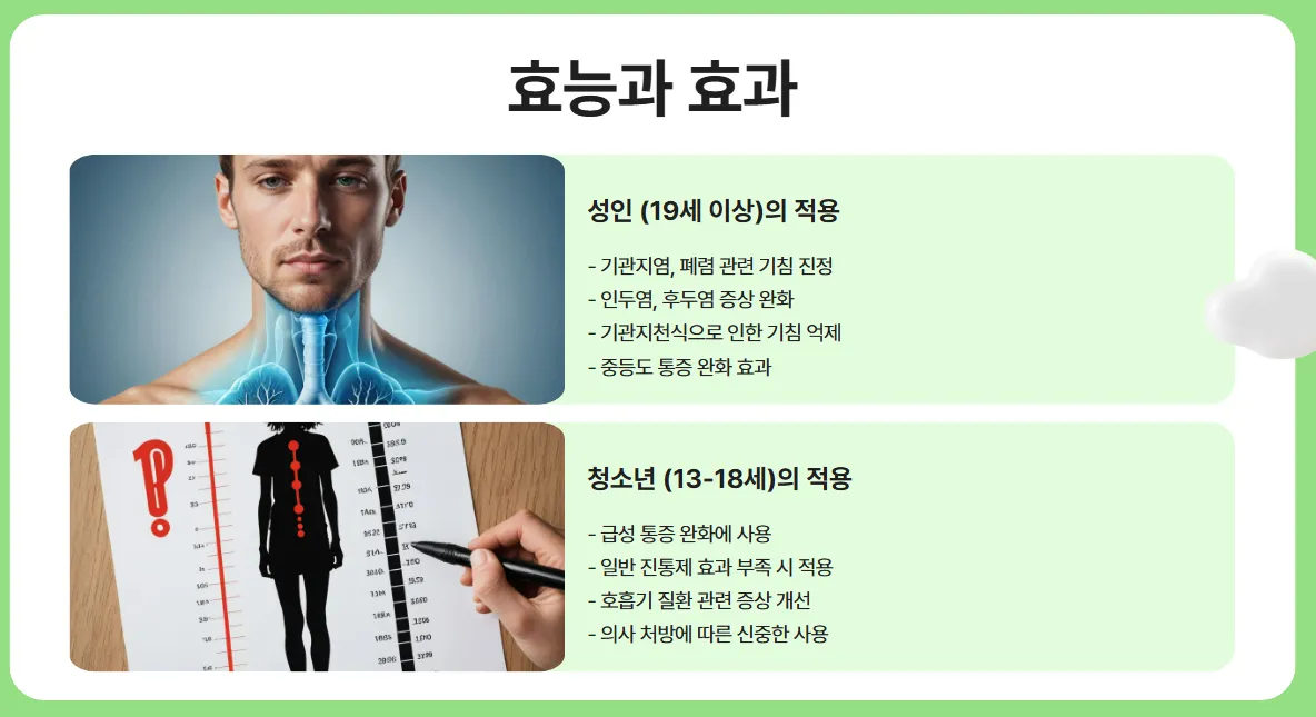 올바른 사용법과 주의점