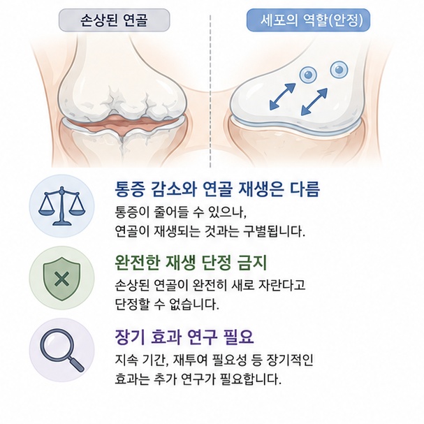 통증이 감소하는 것과 손상된 연골이 완전히 재생되는 것은 다른 개념이며 장기 효과에 추가 연구가 필요함을 보여주는 그림