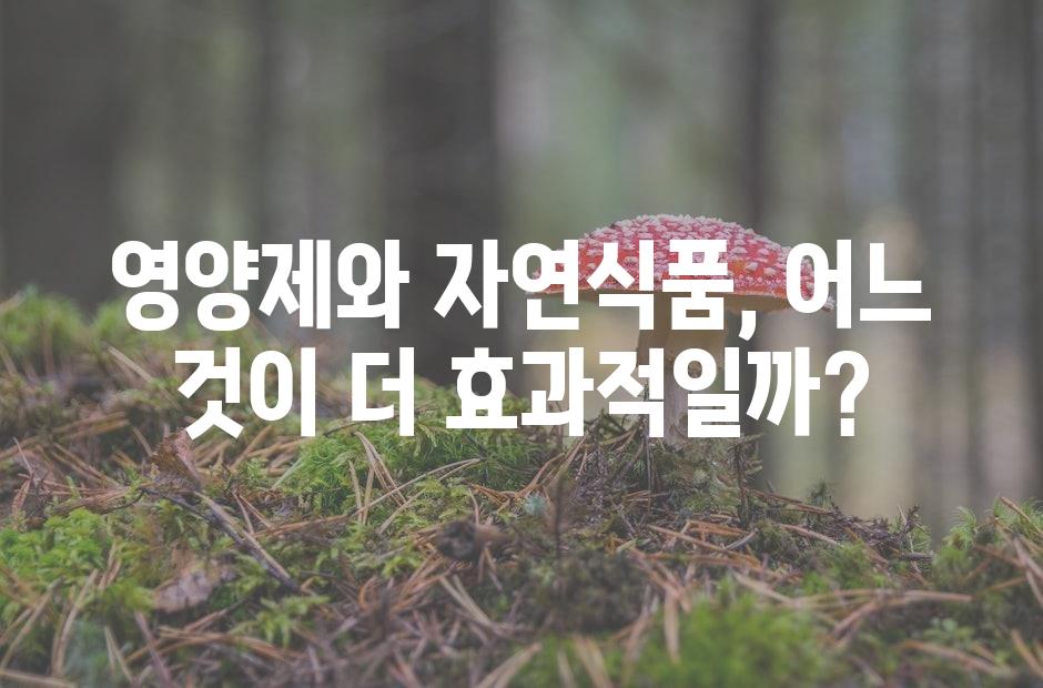 샘플 (42)
