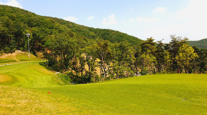 마운틴코스 8번홀