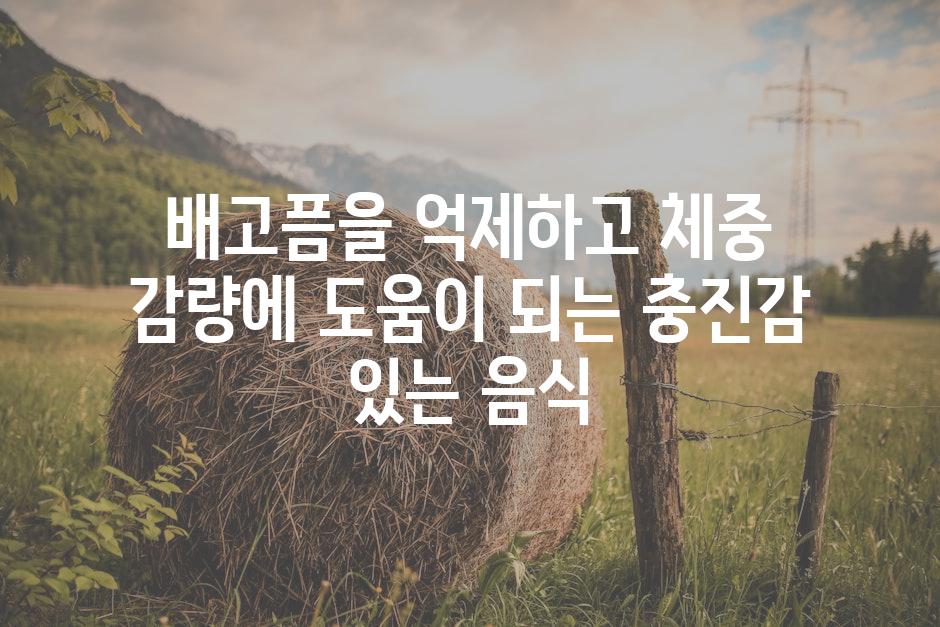 배고픔을 억제하고 체중 감량에 도움이 되는 충진감 있는 음식
