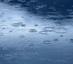 동물꿈,물건꿈,물꿈,구렁이,뱀꿈해몽 모음