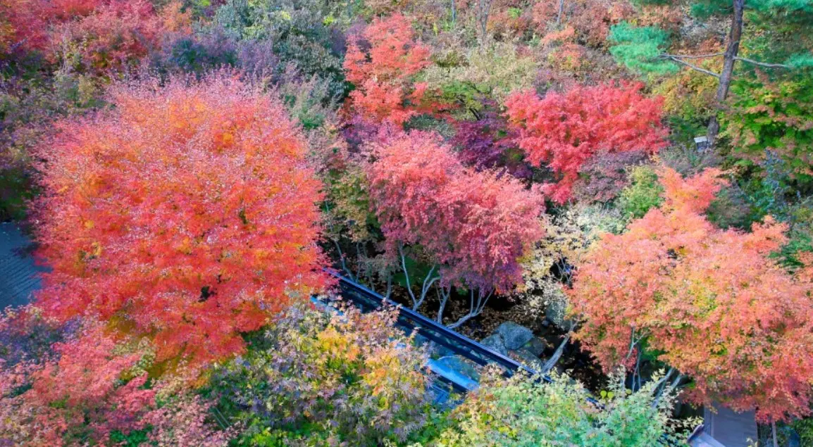 곤지암화담숲 절경1