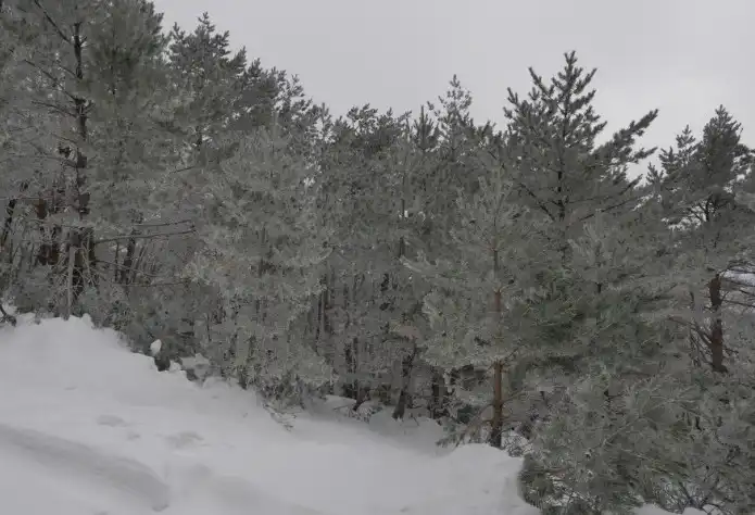 한라산