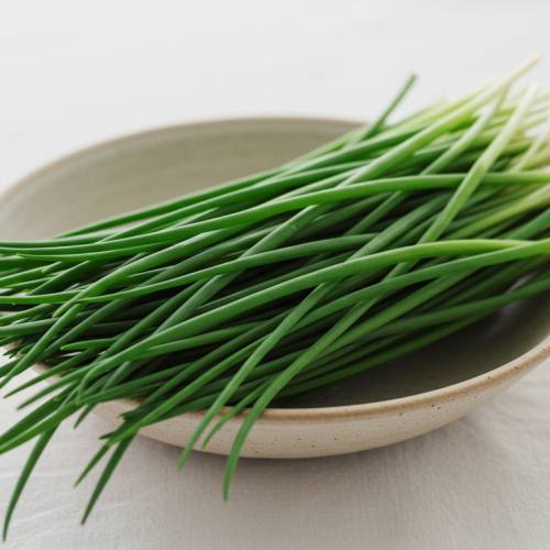 부추의 효능 사진