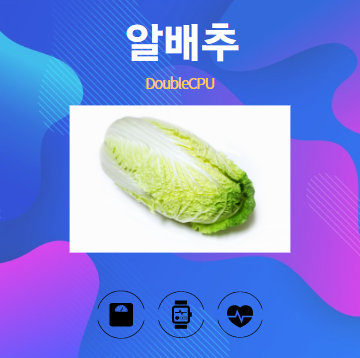 알배추 알아보기