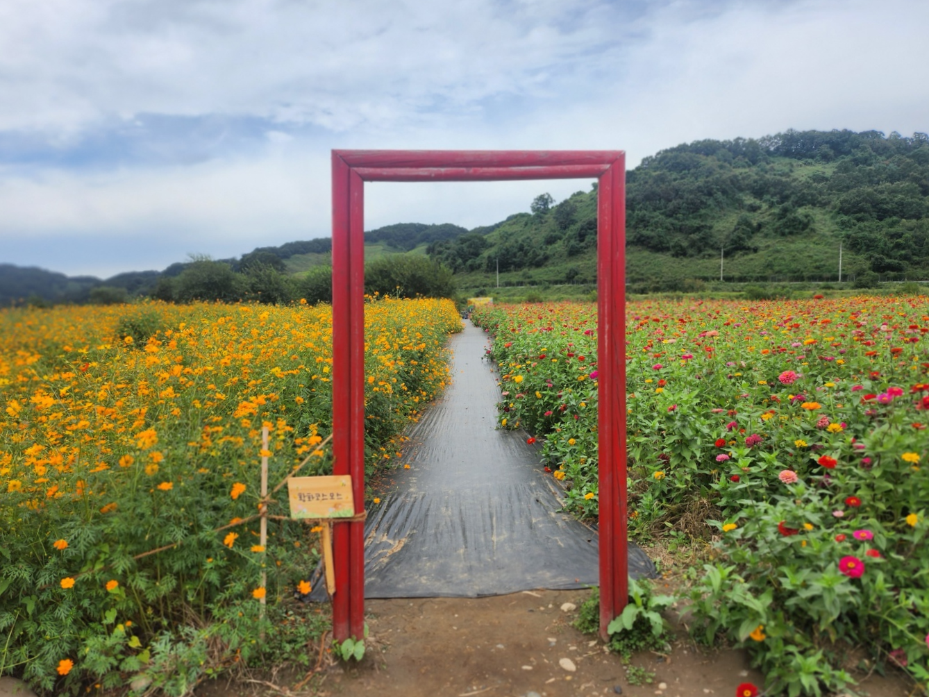 연천가볼만한곳