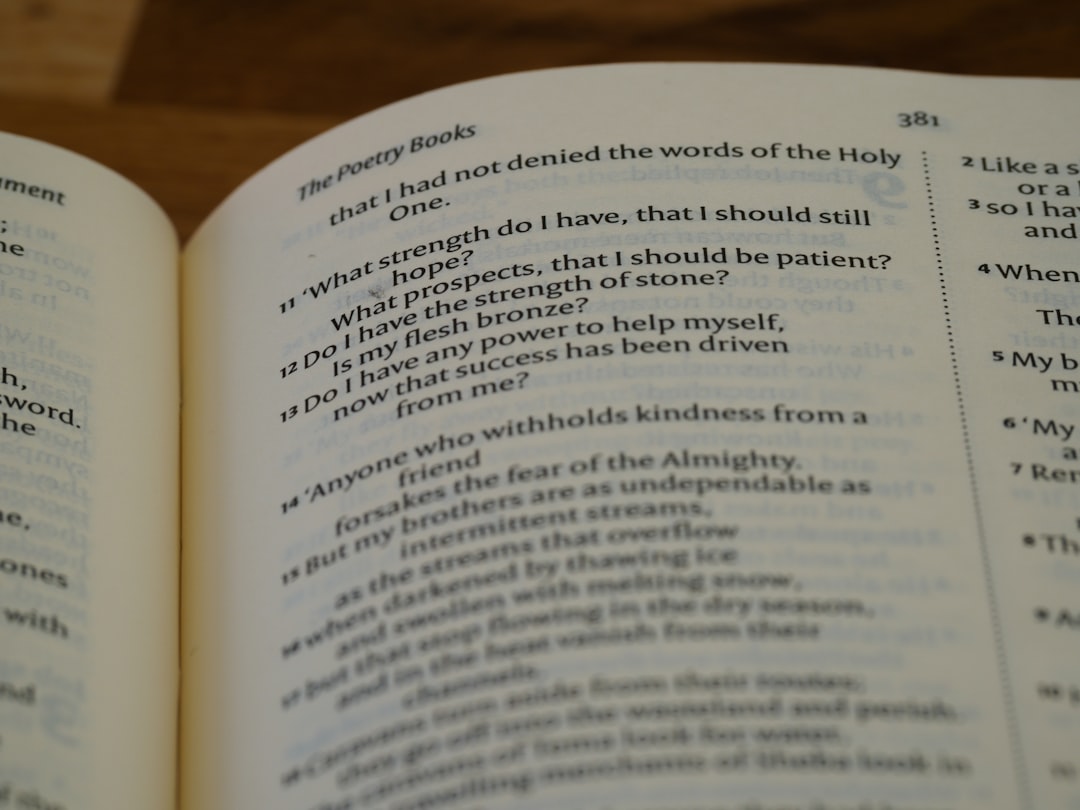 조회 (in English Inquiry)