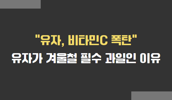 유자가 겨울철 필수 과일인 이유