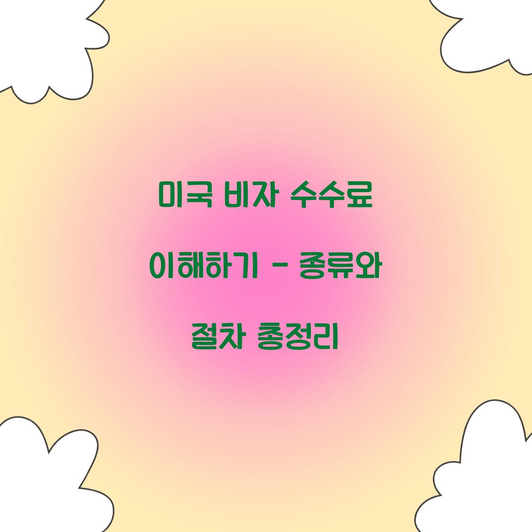 미국 비자 수수료