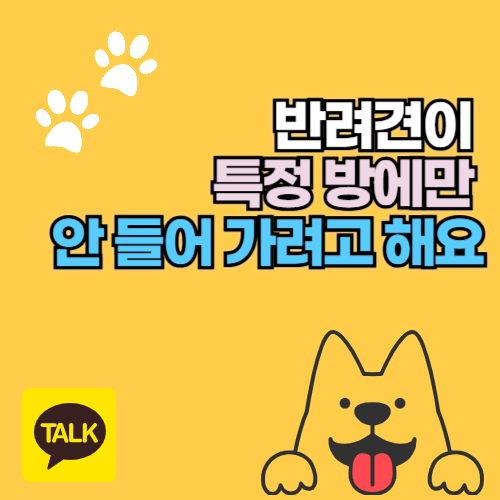 우리집 반려견 특정 방에만 안 들어가려고 해요