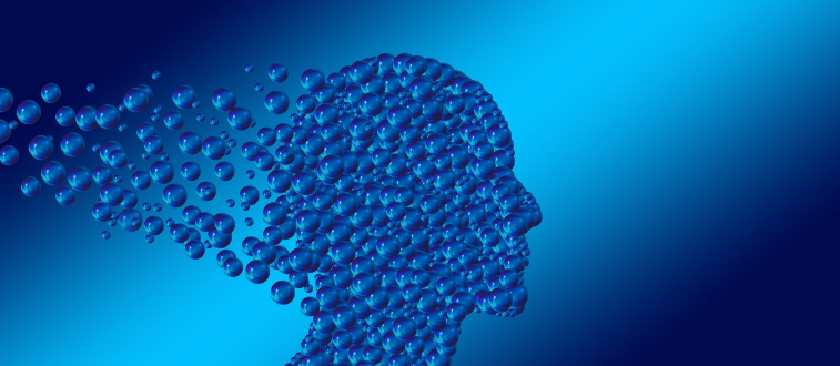 소비자심리학은 어떤 분야일까? 임상심리학과의 차이