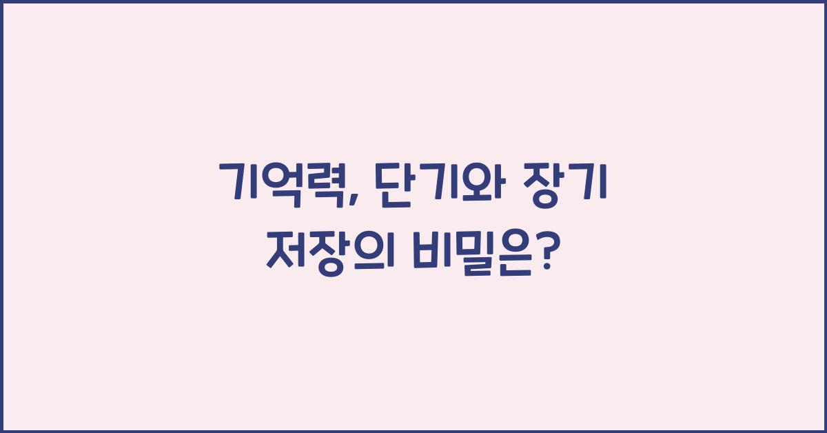 기억력, 단기와 장기 저장