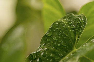 무공해 차량 혜택