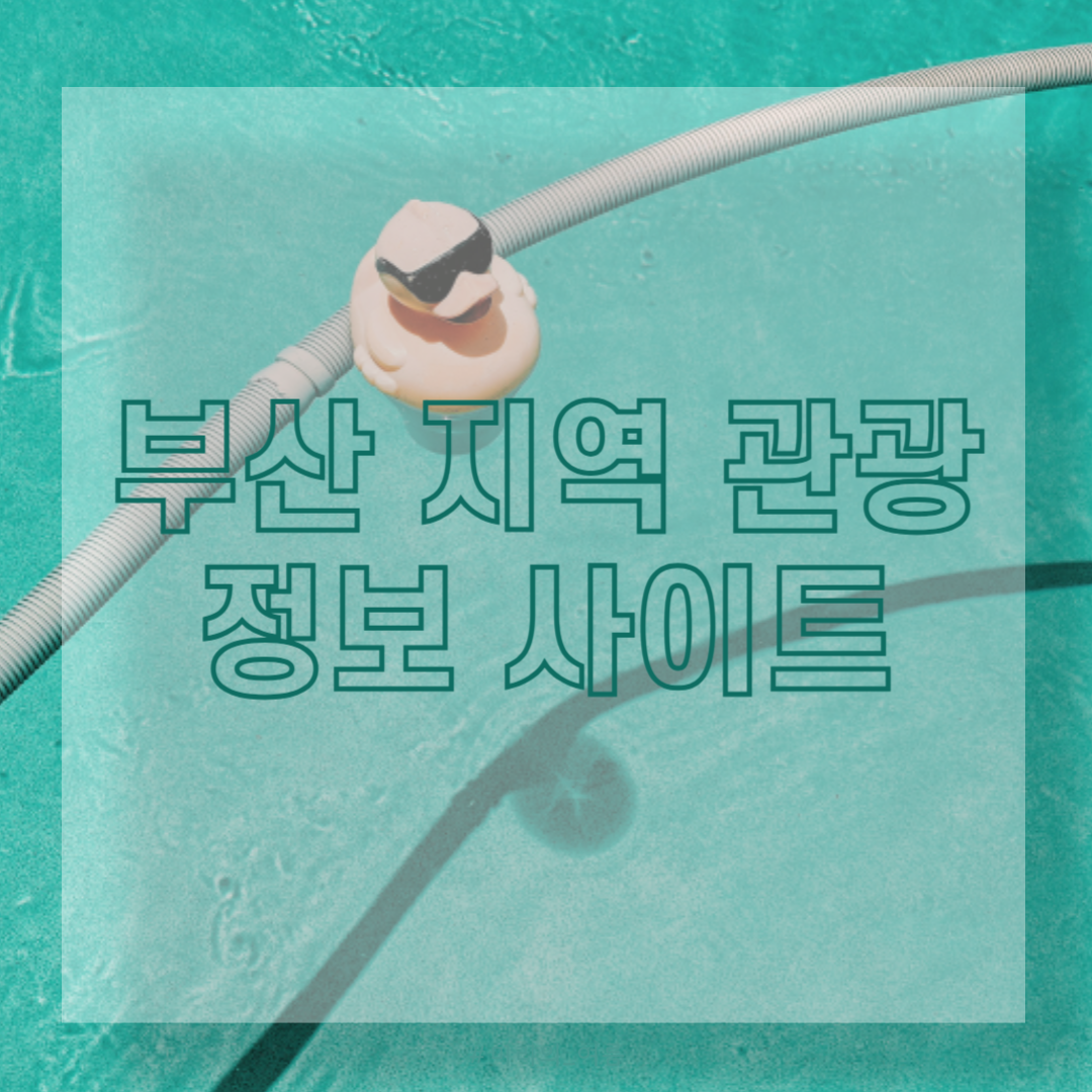 부산 지역 관광 정보 사이트 BEST 3