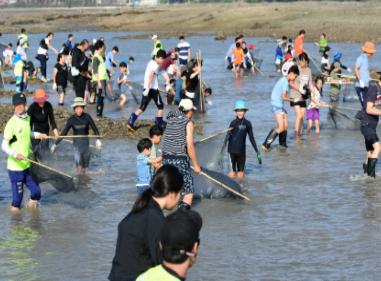 화성 뱃놀이 축제