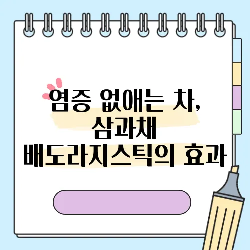 염증 없애는 차, 삼과채 배도라지스틱의 효과