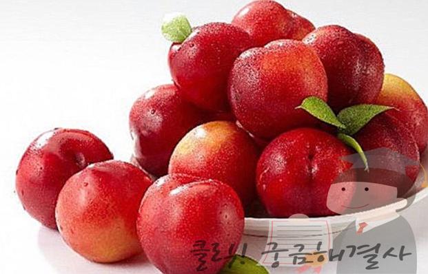 숙취 속울렁 파워에이드 숙취해소법