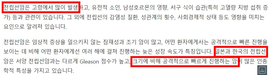 전립선암설명