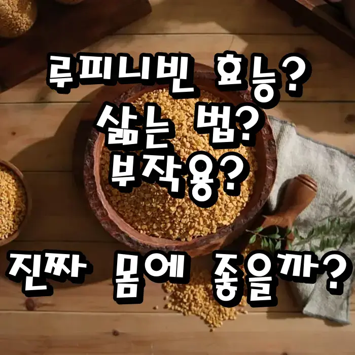 루피니빈 효능·삶기·부작용 총정리|단백질 폭탄 ‘루핀콩밥’ 진짜 몸에 좋을까?