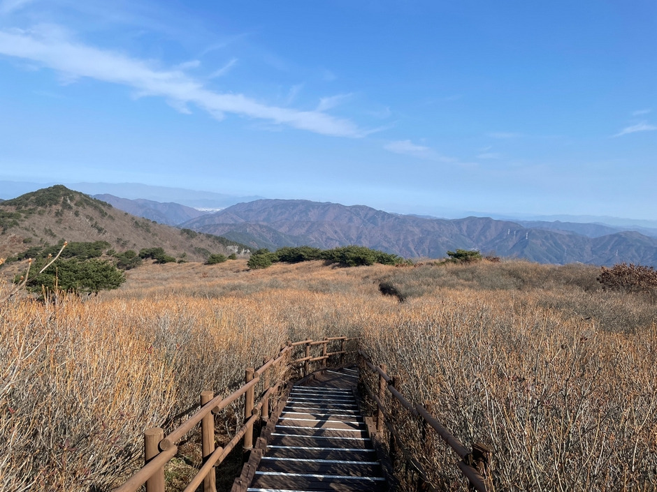 비슬산 등산코스