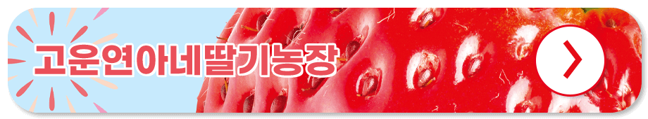 논산딸기축제