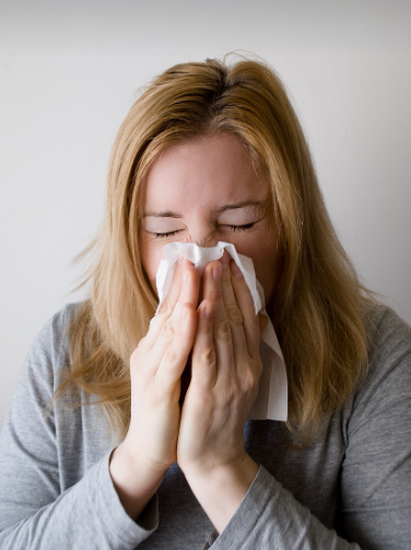 알레르기 비염 관련 사진