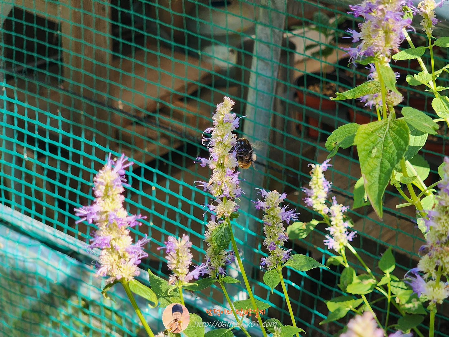 테라로사 커피공장 강릉본점 정원