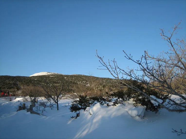 겨울 한라산 설산 산행 가이드