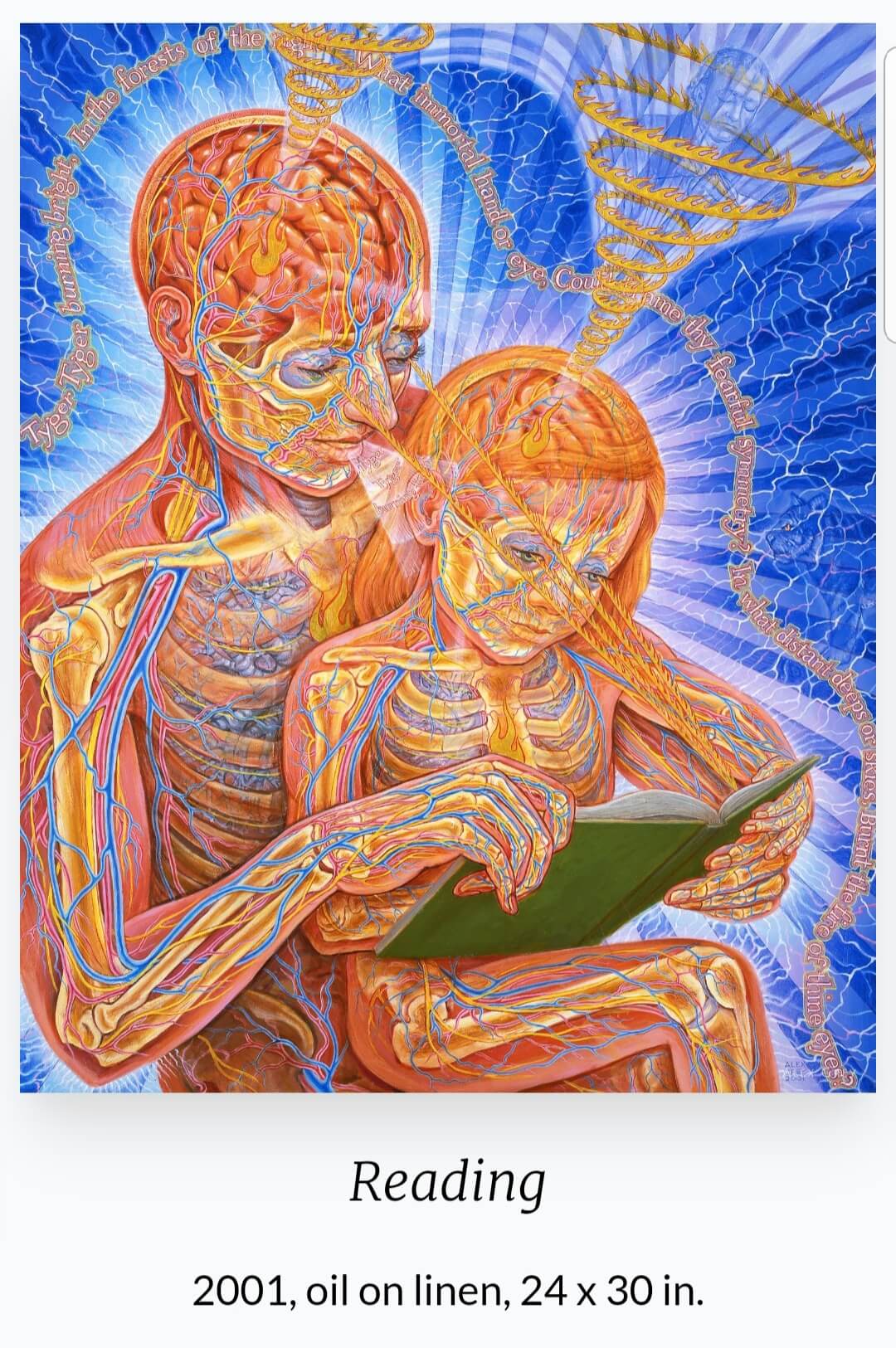 Alex Grey(1953~ ) 작품
'Reading'