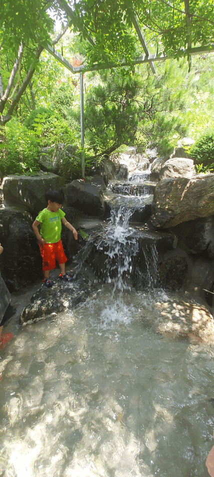 숲속곰디체험학교