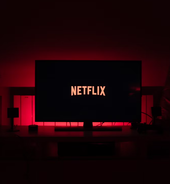 넷플릭스 가격 인상