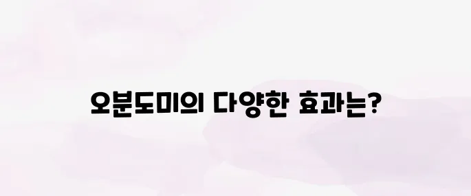 오분도미 효능, 섭취방법 총정리