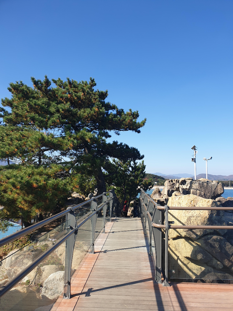 파란 하늘 아래 돌틈 사이에 데크가 깔려 있다. 데크 주변으로 나무도 보인다.