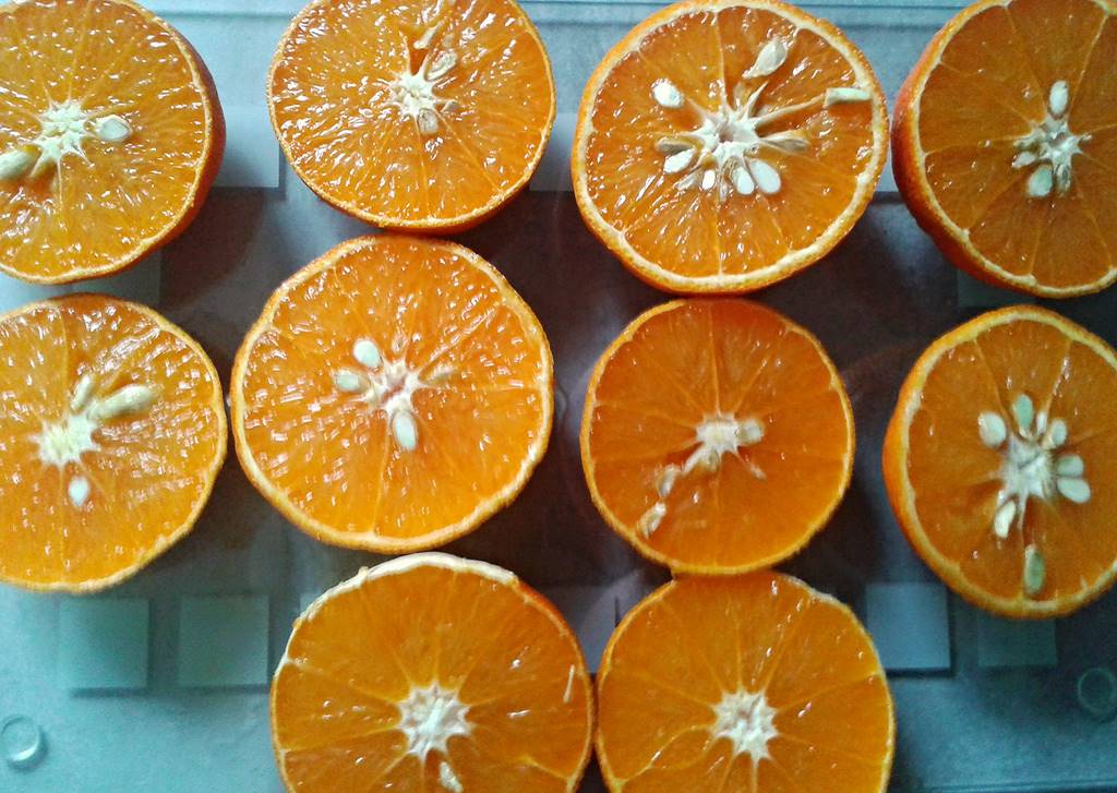 비타민c 많은 음식