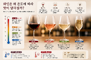 와인은 왜 온도에 따라 맛이 달라질까? 와인 종류별 적정 온도와 맛의 변화