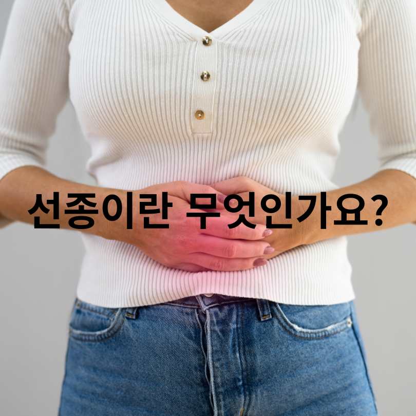 선종과 용종의 차이