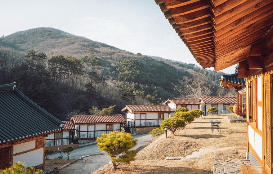 전통문화