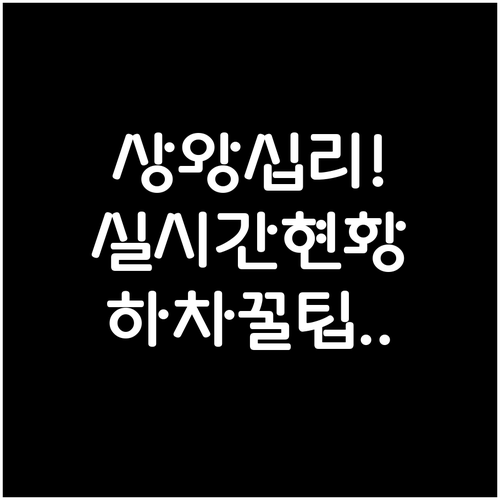 서울 지하철 2호선 상왕십리역 실시간..