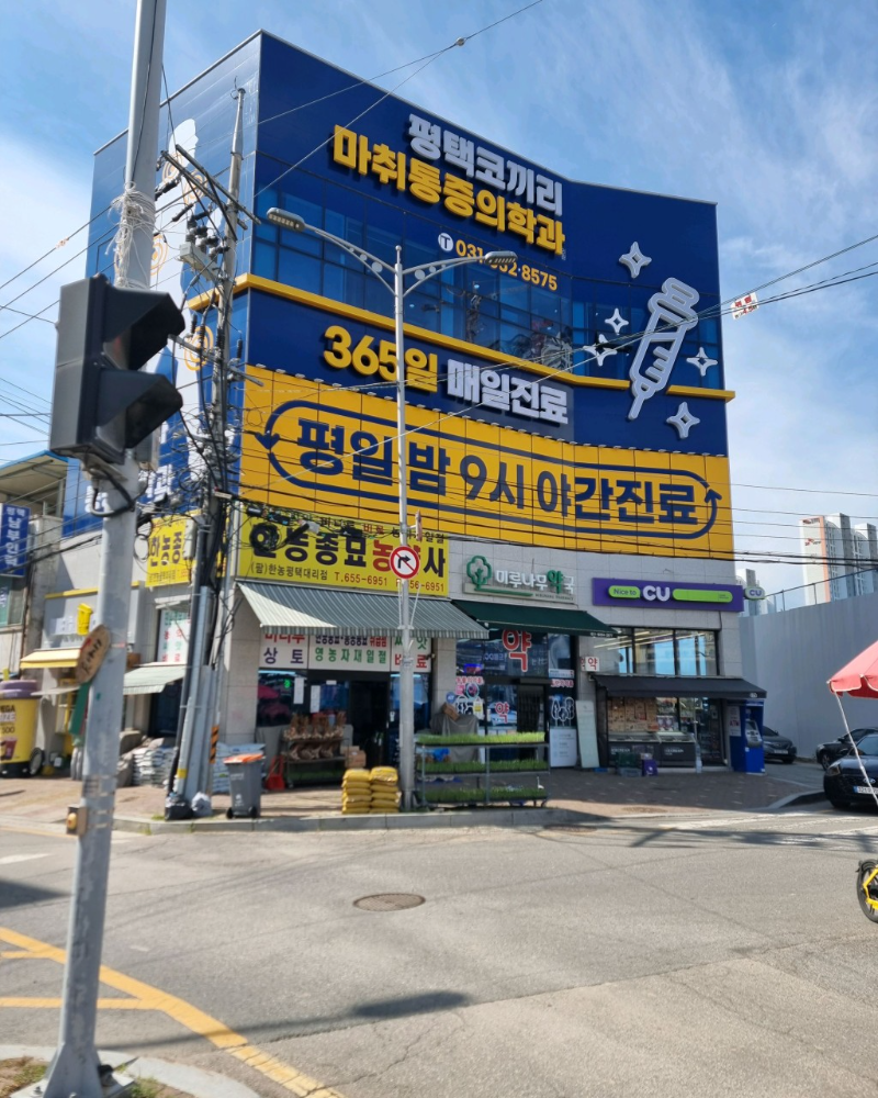 평택시 신대동 정형외과 유명하고 잘하는 곳 추천 TOP 5