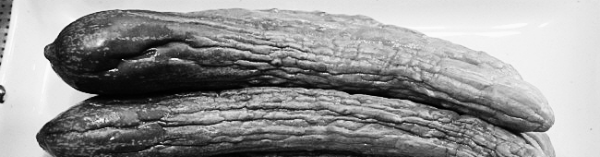 물없이 오이지 담그는법