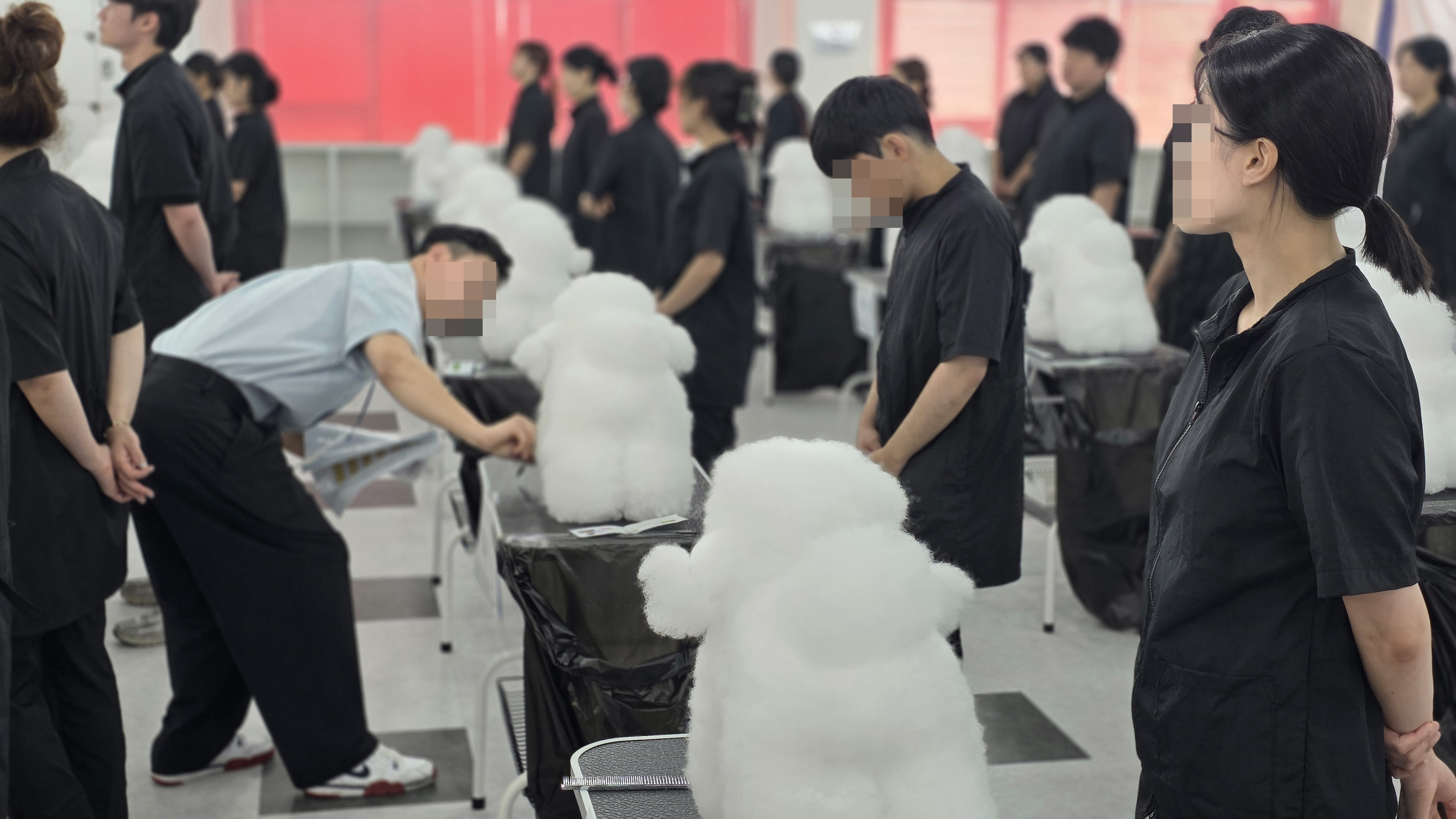 애견미용자격증 시험