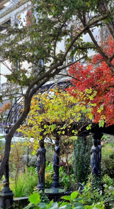 카페-대너리스-유럽풍-정원-단풍