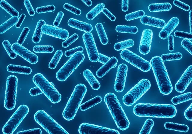 장 내의 미생물이 기분을 조종한다? 우울증과 프로바이오틱스의 숨겨진 관계