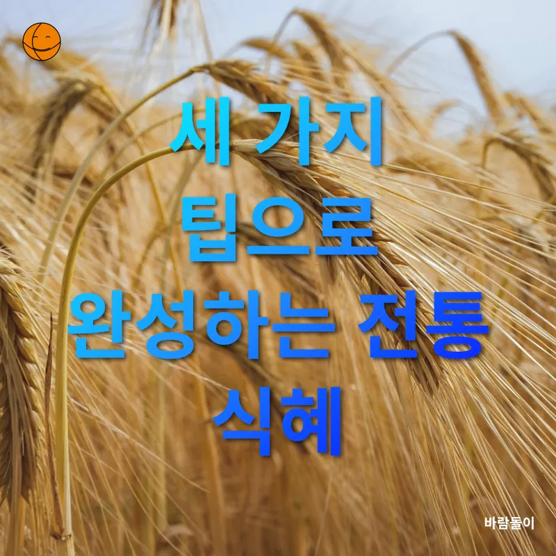엿기름 식혜_3